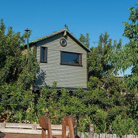 Villa Casa Del Arbol - Tierra De Arte San Jorge  Esterno foto