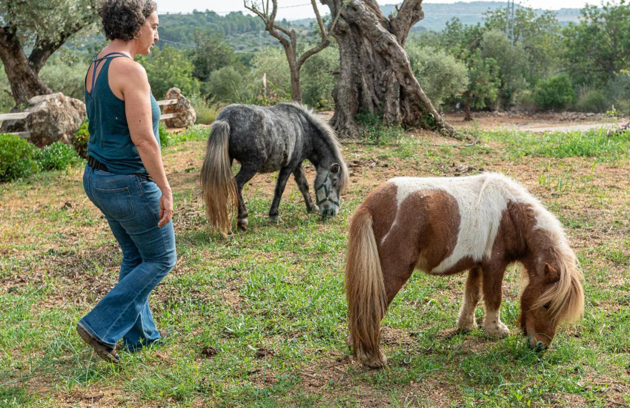 Villa Casa Del Arbol - Tierra De Arte San Jorge  Esterno foto